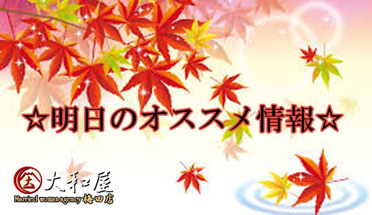 【新着画像】☆11/7（金）～明日のオススメ情報～☆