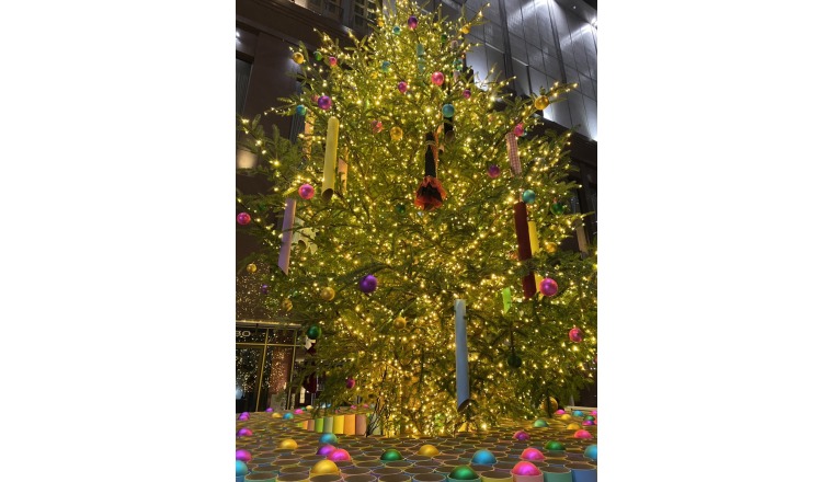 【新着画像】寺島まことさんの写メ