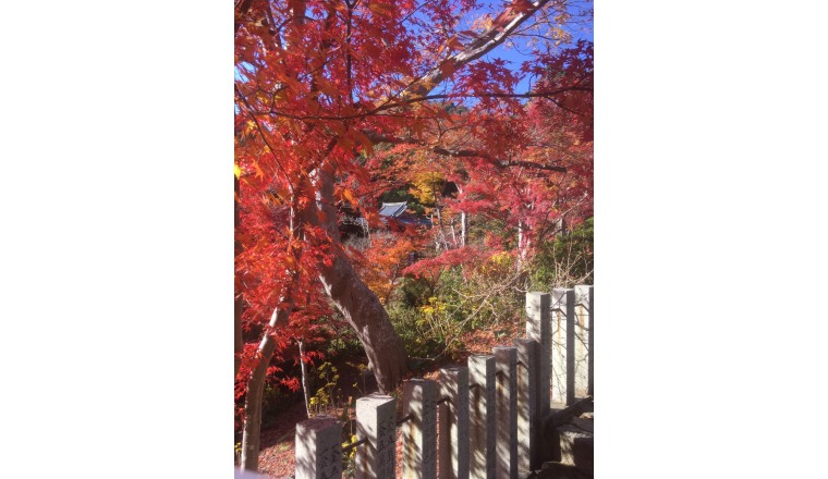 【新着画像】森下 つぐみさんの写メ♪