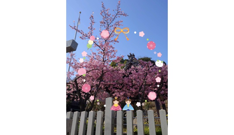 【新着画像】野田つばささんの写メ