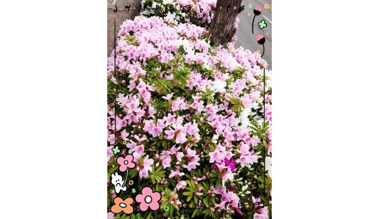 【新着画像】野田つばささんの写メ