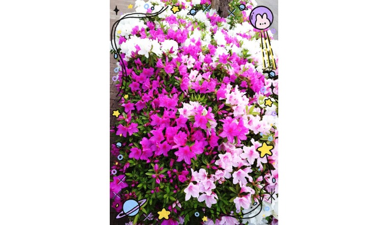 【新着画像】野田つばささんの写メ