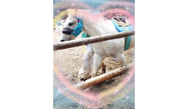 【新着画像】野田つばささんの写メ