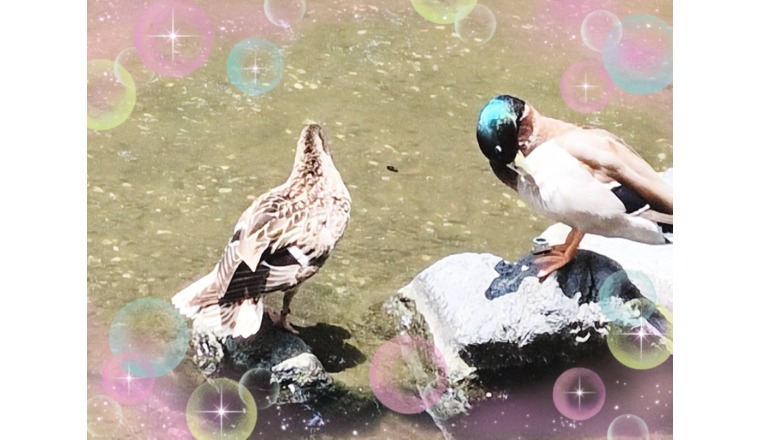 【新着画像】野田つばささんの写メ♪