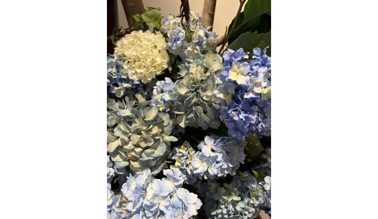 【新着画像】寺島まことさんの写メ