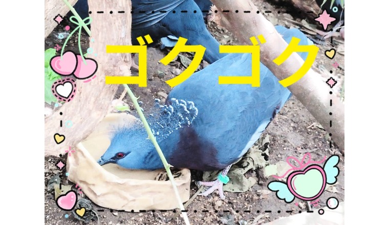 【新着画像】野田つばささんの写メ
