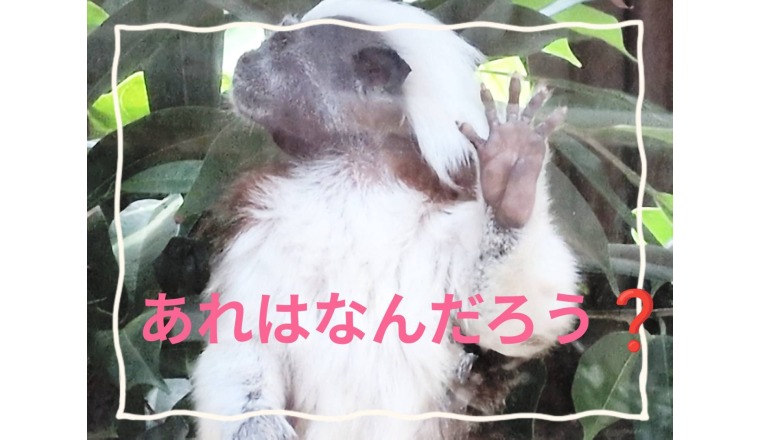 【新着画像】野田つばささんの写メ