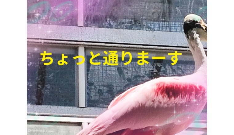 【新着画像】野田つばささんの写メ