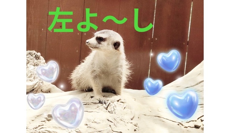 【新着画像】野田つばささんの写メ