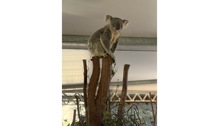 【新着画像】寺島まことさんの写メ