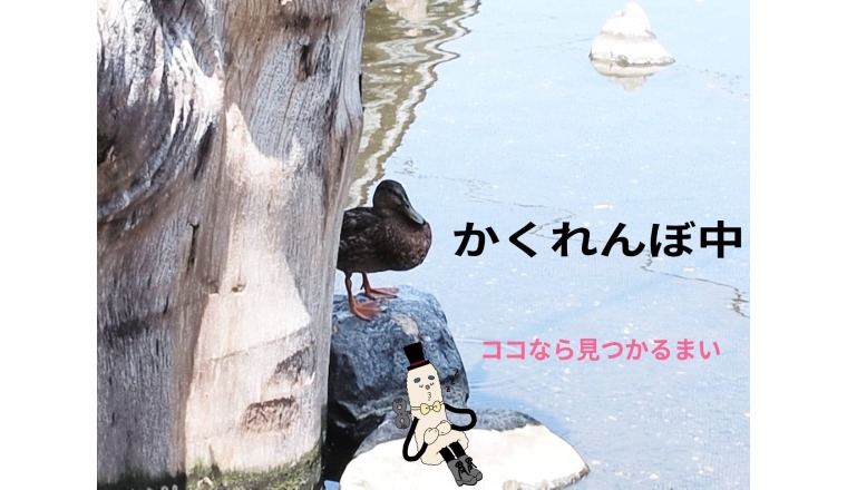 【新着画像】野田つばささんの写メ