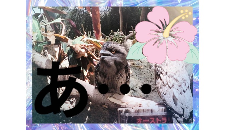 【新着画像】野田つばささんの写メ