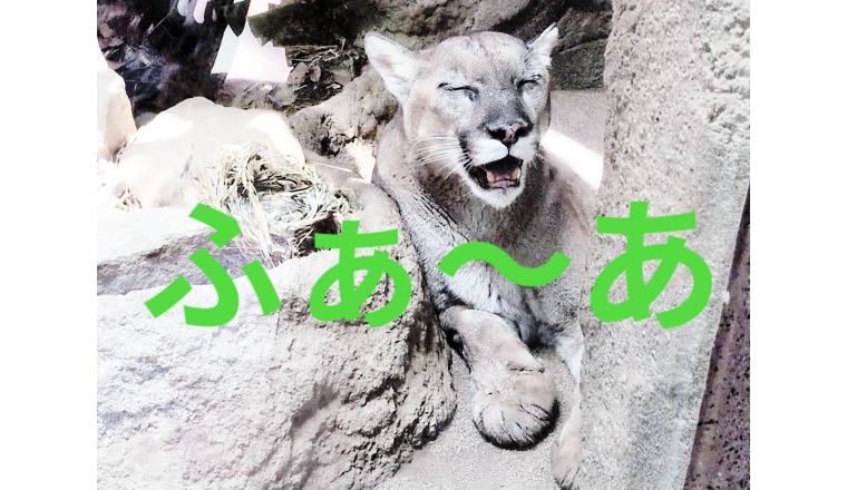 【新着画像】野田つばささんの写メ