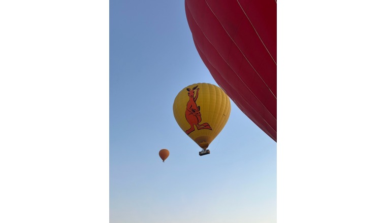 【新着画像】寺島まことさんの写メ
