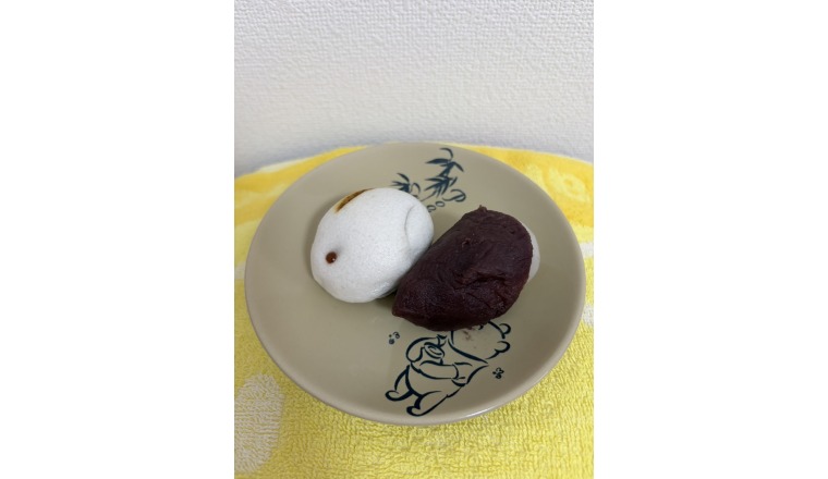 【新着画像】寺島まことさんの写メ