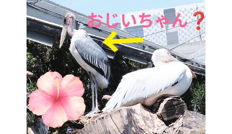 【新着画像】野田つばささんの写メ♪