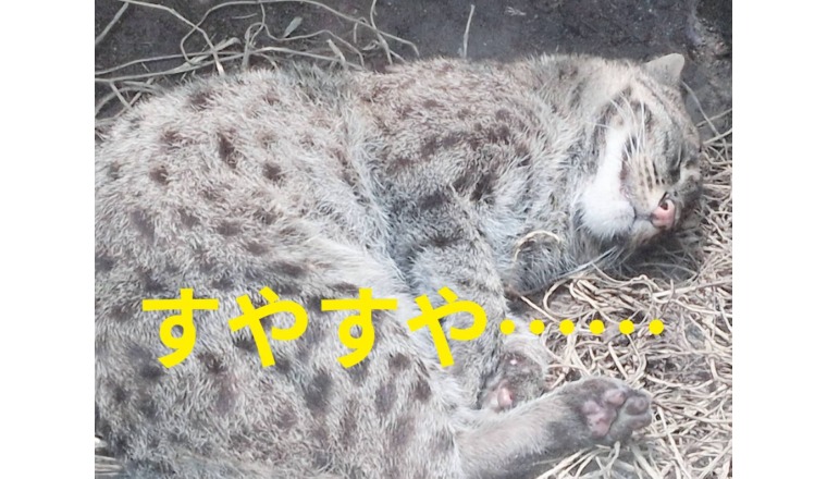 【新着画像】野田つばささんの写メ♪