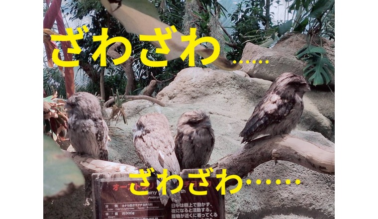【新着画像】野田つばささんの写メ