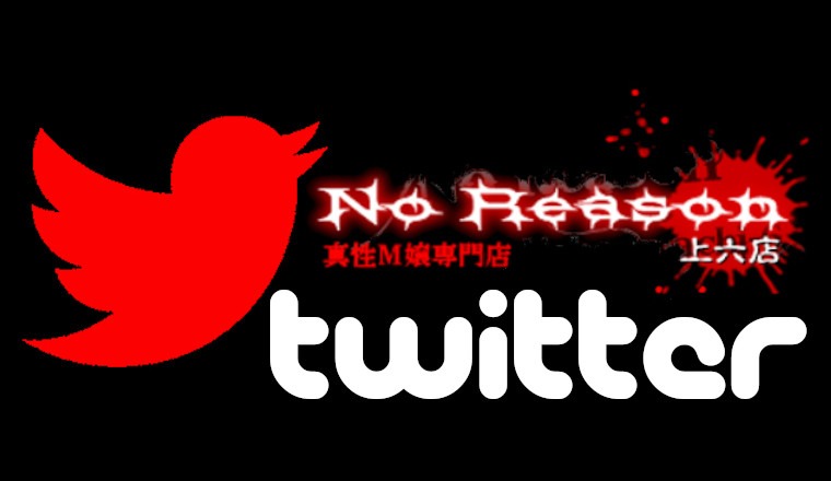 【新着画像】公式Twitter