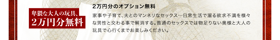 2万円分のオプション無料